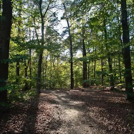 ~ferienwohnung / Hd~