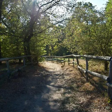 Διαμέρισμα ~ferienwohnung / Hd~